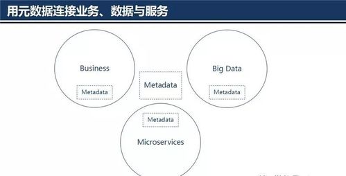 大數(shù)據治理技術核心 元數(shù)據管理架構設計與數(shù)據處理服務一體化實踐