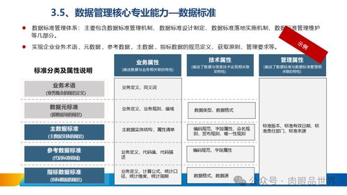xx集團數(shù)據(jù)治理體系建設方案 打造卓越數(shù)據(jù)處理服務
